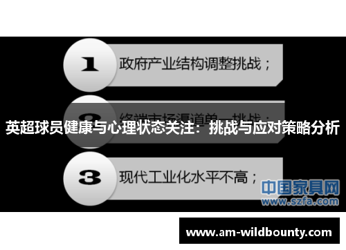 英超球员健康与心理状态关注：挑战与应对策略分析