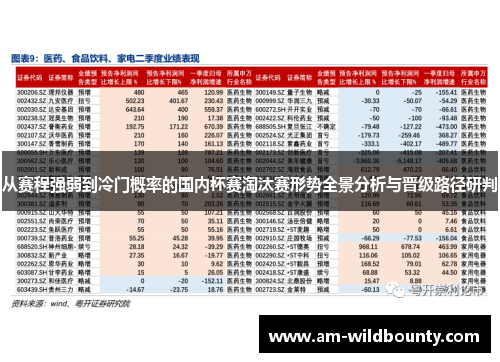 从赛程强弱到冷门概率的国内杯赛淘汰赛形势全景分析与晋级路径研判