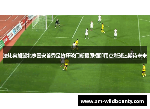 法比奥加盟北京国安首秀足协杯破门新援即插即用点燃球迷期待未来