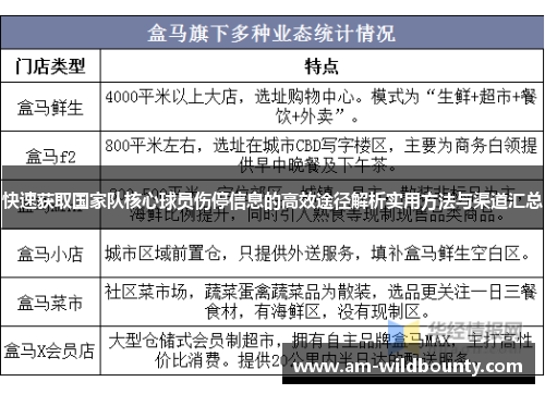快速获取国家队核心球员伤停信息的高效途径解析实用方法与渠道汇总