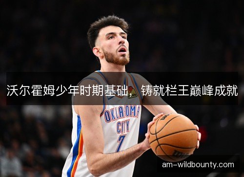 沃尔霍姆少年时期基础，铸就栏王巅峰成就